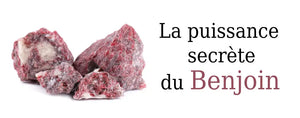 La puissance du Benjoin