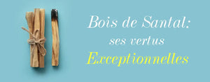 Les vertus exceptionnelles du Bois de Santal