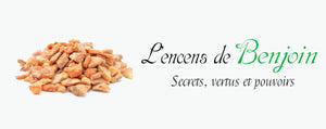 Benjoin : Les vertus de son encens