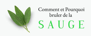 Comment et pourquoi bruler de la sauge ?