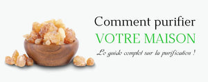 Comment purifier sa maison